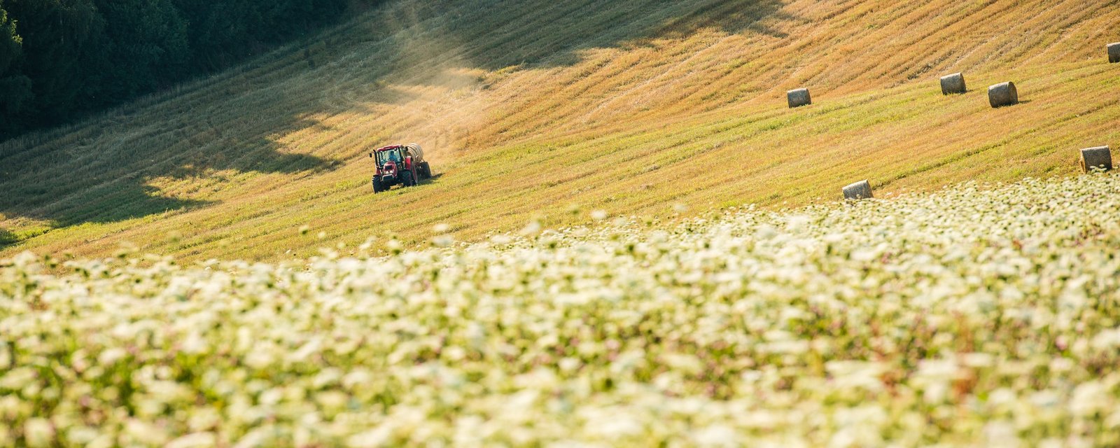 Podporujeme náš region